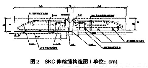 图2 SKC伸缩缝构造图(单位：cm)