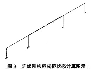 图3 连续刚构桥成桥状态计算图示